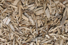 biomass boilers Danesford